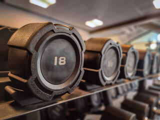 Rows of dumbbells on rack in modern gym, fitness and strength training equipment