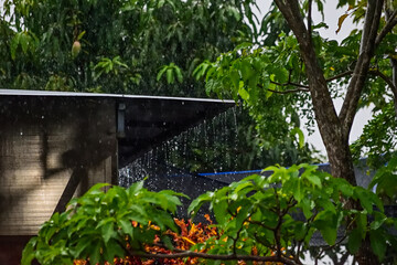 the beauty of rain falling from the roof. trees or plants background creates an interesting visual. green leaves. rain drops. home, house.