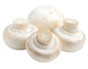 Group of four white button mushrooms, close-up, isolated on a black background, showing the textured caps and stems