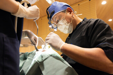 医療　歯科医イメージ