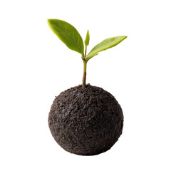 Young green seedling growing from a sphere of dark soil isolated against a deep background symbolizing growth new life and global sustainability