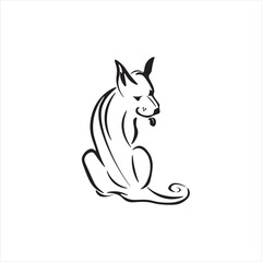 the dog looks backward