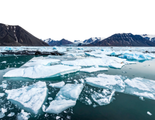 Ice floes dot a frigid sea before rocky mountains. Black sky above