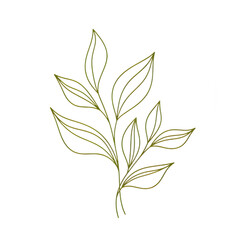 Elegant botanical line drawing of leaves in a natural flowing arrangement. Suitable for branding, packaging, minimalist artwork, and eco-themed designs.