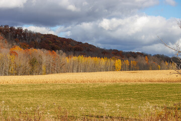 Naklejka premium autumn in the mountains