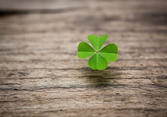 Lucky green four leaf clover resting on a rustic wooden surface.