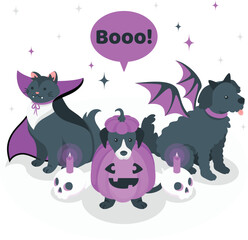Halloween-themed dogs dressed as a vampire, pumpkin, and bat costume
