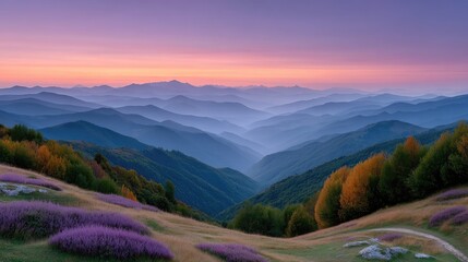 Vast Mountain Range at Sunrise with Purple and Orange Hues and Wildflowers in Foreground