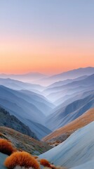 Vast mountain ranges bathed in soft orange and purple sunset light under a clear sky casting long shadows across the rugged terrain with delicate desert foliage in the foreground