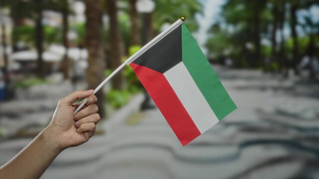 Man holding kuwait flag on street in outdoor urban city setting with blurred palm trees highlighting national pride and identity.