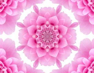 Kaleidoscope image with pink floral mandala design against a black background, symmetric and beautifully layered
