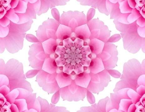 Kaleidoscope image with pink floral mandala design against a black background, symmetric and beautifully layered
