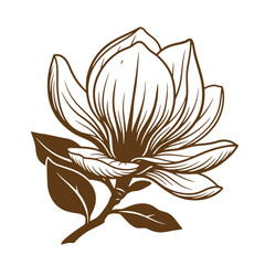 Fototapeta premium Elegant brown outline illustration of a beautiful magnolia blossom with leaves vintage art