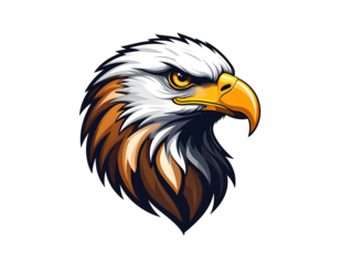 Majestic eagle head illustration, rendered with sharp lines, contrasting colors, and a fierce, determined gaze