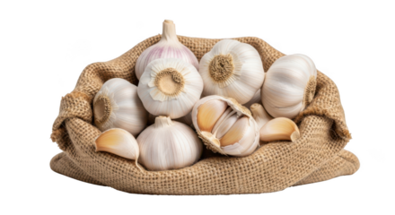Fresh garlic bulbs and cloves in a burlap sack isolated on white background