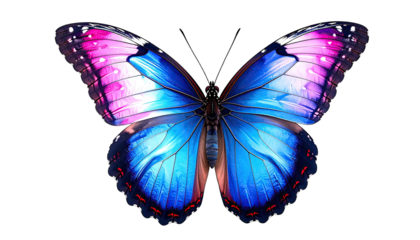 Symmetrical butterfly with vibrant blue and pink wings