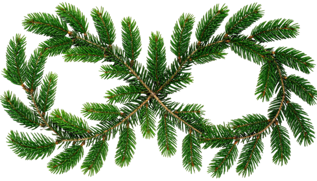 Evergreen branches forming an infinity symbol on black