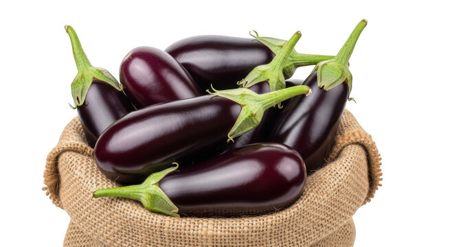 Fresh eggplants in a burlap sack isolated on white background