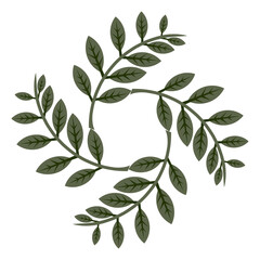 Green leaves, branches with leaves, transparent background.