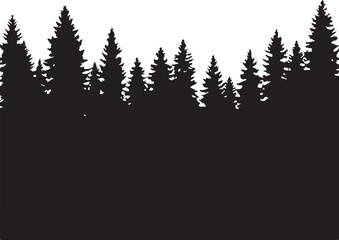 Fototapeta premium Evergreen Trees Forest Silhouettes