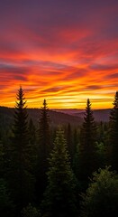 Vibrant Sunset Over a Dense Forest Canopy.