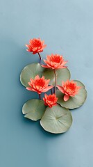 Vibrant Red Lotus Flowers Blossom Amidst Lush Green Lily Pads on a Serene Blue Textured Background Top Down Aerial View