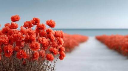 Vibrant Red Poppies Field In Spring Under A Clear Blue Sky With Calm Ocean Horizon In The Background Beautiful Nature Scenery Outdoors Tranquil Day
