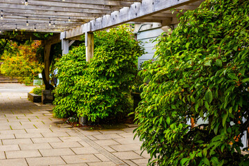 Washington Park Arboretum scenic views in Seattle