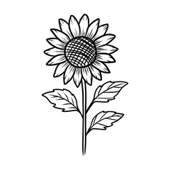 Elegant Sunflower with Leaves Line Art