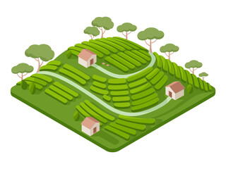 Mountain terraces landscape, layered fields with farm huts, winding ridge path, trees around, rural agriculture scene, isometric vector © RA Studio