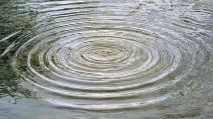 Fototapeta premium A circular ripple effect in water created by a dropped object,