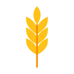 golden feather isolated on white background