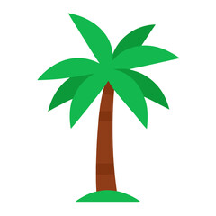 palm tree isolated on white