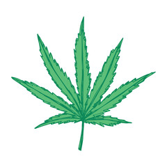 Hand drawn cannabis leaf Medicine marijuana Hemp leaves clipart in doodle style Single element for print, web, design, decor