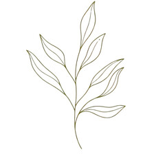Delicate line art illustration of a leafy branch with smooth flowing shapes and minimalist details. Perfect for wall art, logo elements, or eco-friendly design projects.
