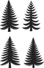 Obraz premium PrintBlack silhouette pine trees collection isolated on white background, evergreen conifer forest design, vector nature illustration, outdoor landscape graphic art