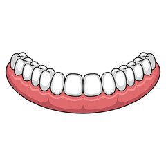 Human lower jaw gum with crooked teeth isolated on white background vector illustration ideal for dental education orthodontics oral health design themes
