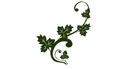 Elegant Green Floral Vine Ornament Isolated on Transparent Background – Decorative Botanical Swirl Design Element for Invitations and Artwork