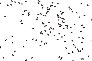 Black sesame seeds isolated on white background