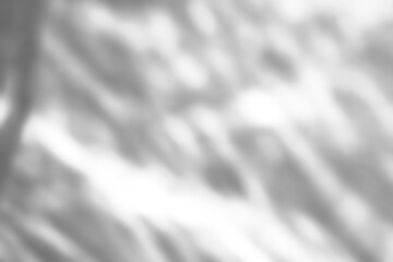 Abstract shadow drop on white wall background overlay mockup effect