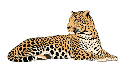 A majestic leopard with a beautiful spotted coat lies gracefully, its head turned slightly to the right, in a serene and watchful pose on a clean white background.