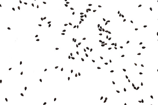 Black sesame seeds isolated on white background