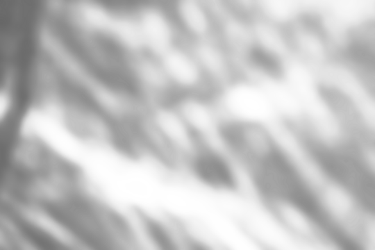 Abstract shadow drop on white wall background overlay mockup effect