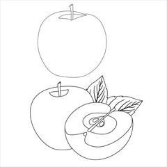 Apple Line Art Vector