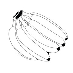 Banana fruit line art vector illustration