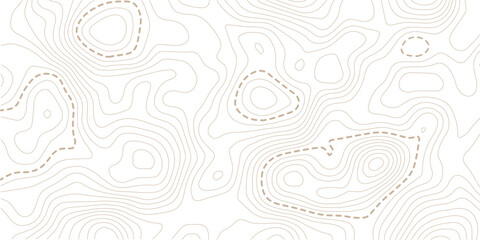 Topographic map lines background. Abstract vector illustration. Vector illustration.