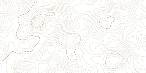 Topographic map lines background. Abstract vector illustration. White background topo 
