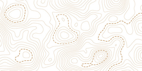 Topographic map lines background. Abstract vector illustration. White background topo 