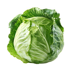 Fototapeta premium Fresh green cabbage head isolated on black background studio shot