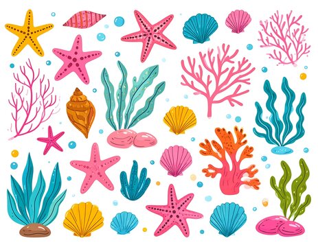 Cartoon illustrations of various underwater sea life elements
